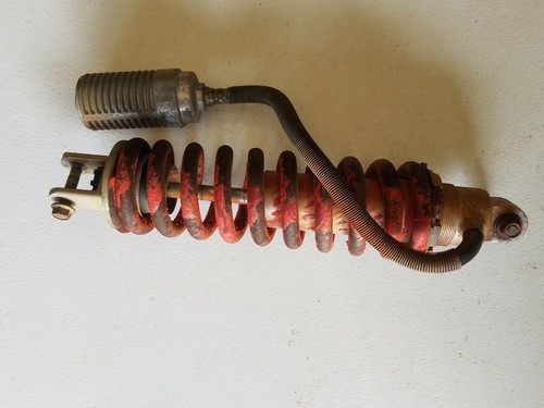 1981 elsinore cr250r cr250 - elsinore,